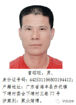 海丰县公安局悬赏通告