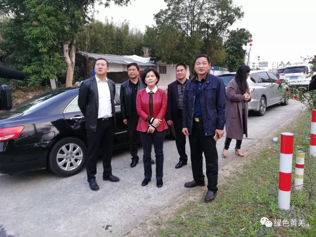 汕尾市委常委宣传部长曾晓佳同志检查指导我镇学习宣传十九大精神工作