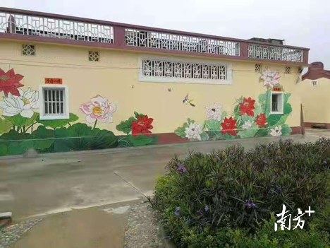 仓前村景观。 图片