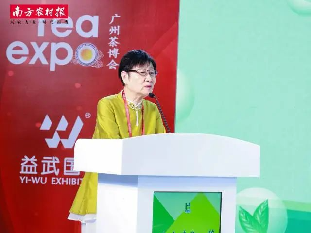 广东省茶业行业协会专职副会长张黎明解码海丰莲花山茶的品牌升级之路。