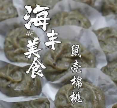 赤坑鼠壳棉桃