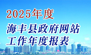 政府网站工作年度报表