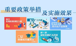 重要政策举措及实施效果