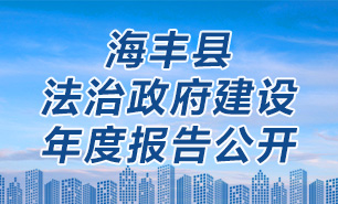 法治政府建设年度报告公开