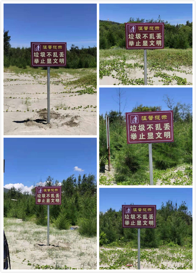 图片13.png