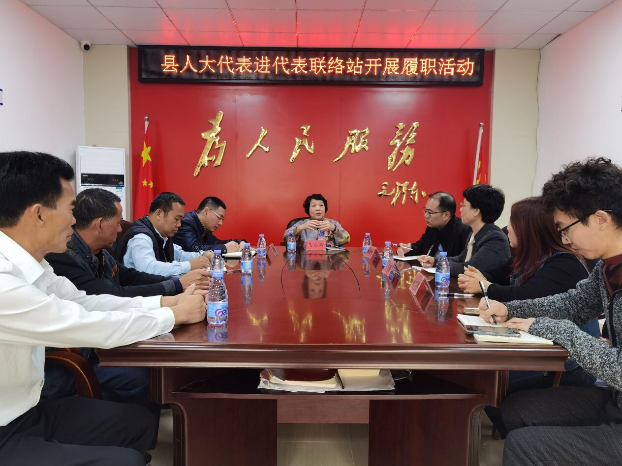 海丰县人大常委会马小玲副主任率队到我镇检查指导