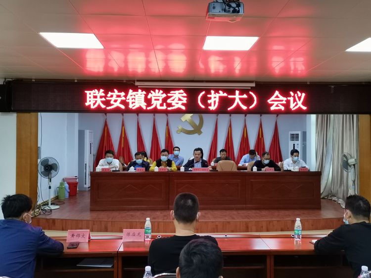 联安镇召开党委(扩大)会议