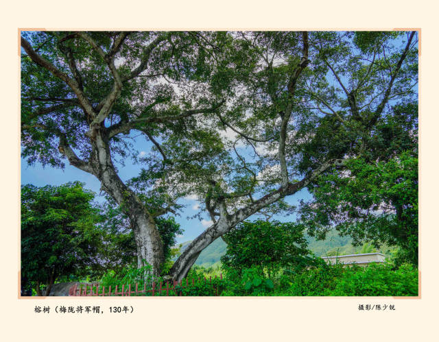 20230621-5.jpg